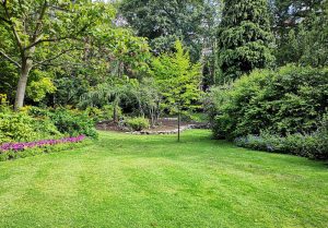 Optimiser l'expérience du jardin à Luray
